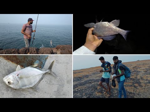 तीन दिवस केली देवगड मध्ये मासेमारी , रात्रीची मासेमारी | Fishing in kokan @TejaGurav