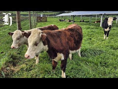 YouTube video thumbnail: Farmer Confidence Reaches Eight Year High