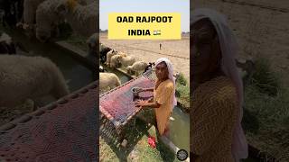 INDIA OAD RAJPUT GAON