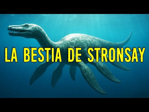 LA BESTIA DE STRONSAY | Criptozoologia