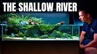 BUILDING A 120CM SHALLOW RIVER AQUASCAPE! Full Step by Step Tutorial