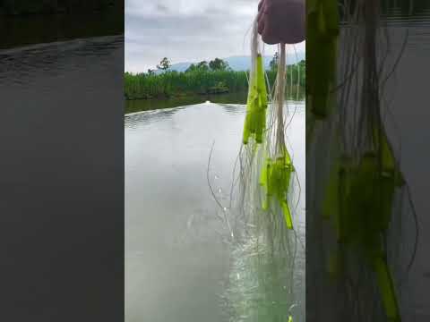 Automatic fishing net boat. It's interesting and highly efficient. #fishingtackle