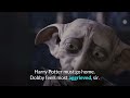 Harry Potter og Dobby