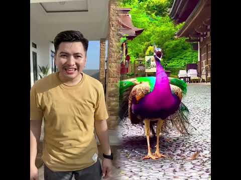 ๐๐Best POVs Storytime ๐๐ASMR Drawing Story Time _ POVs Tiktok Compilations