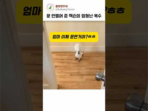 문 안열어주는 앵무새의 엄청난 복수