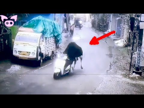 Weird Stuff Caught on Camera That Doesn't Make Sense