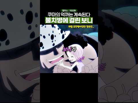 쿠마의 불행은 아직도 끝나지 않았다… #원피스