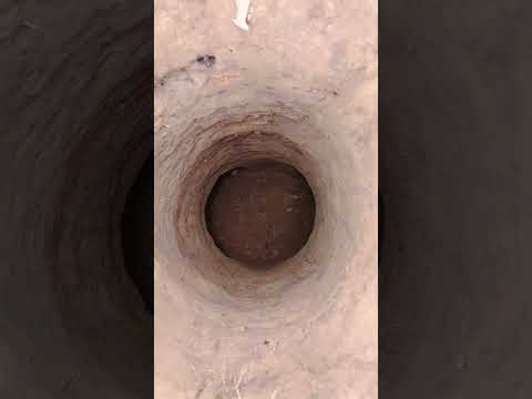 New Funny and Fail Videos 2023 ? ??  Part26#shorts #funny #funnyshorts