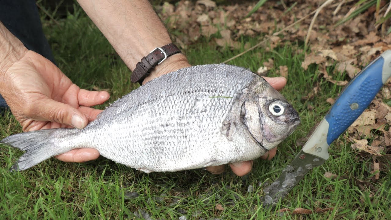 Bushcraft & Fishing - How To GUT & CLEAN FISH BUSHCRAFT BOWDRILL FIRE BAKED FISH