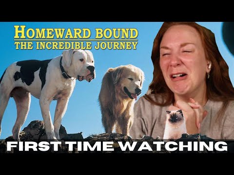 HOMEWARD BOUND made me SOB uncontrollably.