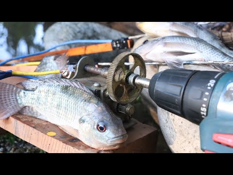 How to Make a Drill Machine Fish Stunner at Home |DIY|