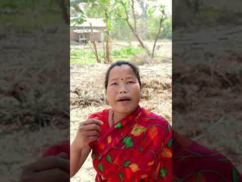 Kam garnai pare ta sajilo garne ni #nepalicomedy #familyfun #brothersister