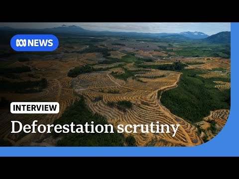 YouTube video thumbnail: Indonesians Blame Deforestation for Devastating Floods 