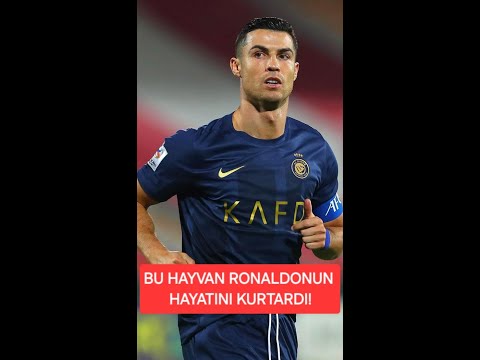 Bu hayvan Ronaldonun hayatını kurtardı! Ronaldonun en sevdiği 5 hayvan! #keşfet #keşfetbeniöneçıkar