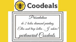 Présentation de 2 toiles #diamondpainting partenariat #coodeals . J adore elles sont trop belles