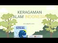 Geographical and Cultural Diversity of Indonesia