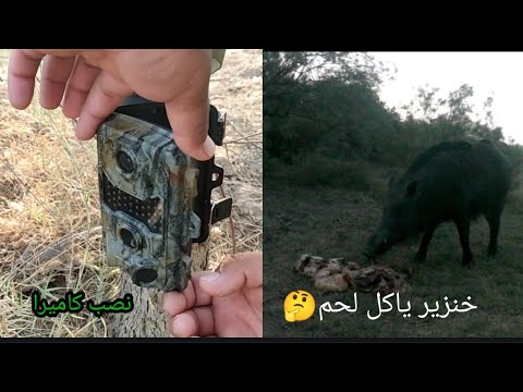 مغامره نصب كاميرا حراريه لكشف الحيوانات في الهور