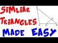 Understanding Ratios and Proportions