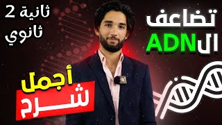 ثانية ثانوي ا الشرح الاسطوري لدرس تضاعف ال ADN
