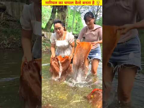 नारियल के छिलकों से यह क्या बनाया जा रहा है 😲 #shorts #ytshorts