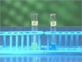 Reactivity of Iron in Copper Sulfate