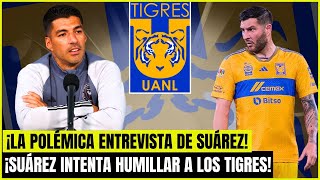 🚨¡POLÉMICA! ¡SUÁREZ HUMILLA A LOS TIGRES EN ENTREVISTA! NOTICIAS DE LOS TIGRES HOY