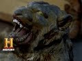 Lion Piece Analysis and Evaluation