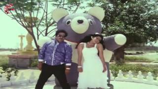 ఓ  చిలుకా.. చిరు మొలకా.. | Jayamu Nichayamura Movie Songs | Telugu Classical Songs