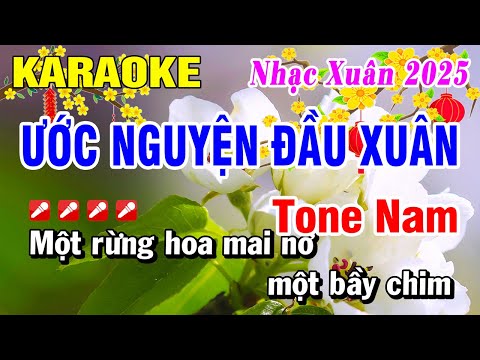 Karaoke Ước Nguyện Đầu Xuân Tone Nam (Lofi Ver.) Nhạc Xuân 2025 | Hoài Phong Organ