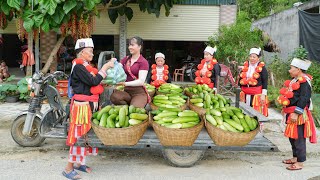 Use 3-Wheeled Truck To Harvest Many Delicious Cucumbers Goes To Sell For Villager