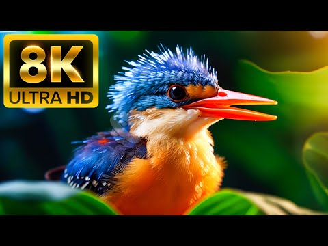 BREATHTAKING NATURE - 8K (60FPS) ULTRA HD - With Nature Sounds (Colorfully Dynamic)