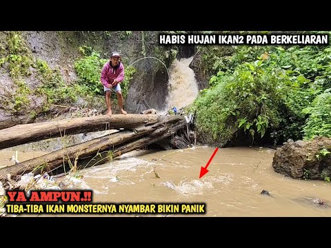 PANIK.!! LAGI ASIK MANCING LELE LOKAL BABON SEHABIS HUJAN TIBA-TIBA IKAN MONSTERNYA NGAMUK BRO