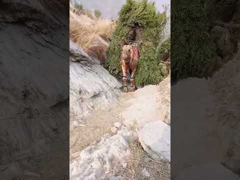اللهم صل وسلم وبارك على نبينا محمد وعلى آله وصحبه أجمعين