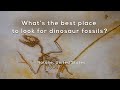 Dinosaur Fossils and Their Discovery