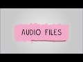 Digital Audio Formats and Concepts