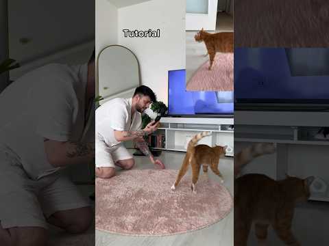 Elime tırnakları battı ?