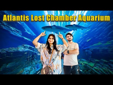 65,000+ Marine Creatures in One Place | Atlantis Lost Chambers Aquarium