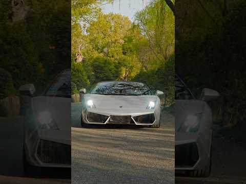 Lamborghini Gallardo LP560-4: Is It Really Worth the Hype?