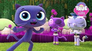 Bartleby Ninja Cat! 🐈 | 2 Full Episodes | True and the Rainbow Kingdom