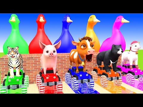 5 Giant Duck Cartoon, Long Slide Game With Cow Elephant Lion Gorilla T-Rex, 3d Animal Game