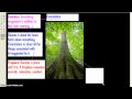 Understanding Connotation and Denotation