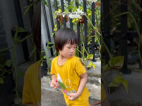 Thôi xong, tội cho em Bọ Ngựa quá!#short