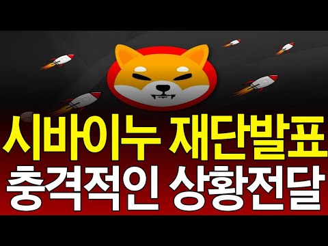 [시바이누코인] 🔥긴급속보🔥 재단측에서 공개한 현재 충격적인 상황, "이 구간" 한방만 노리자 #시바이누