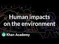 Lake Urmia Environmental Challenges