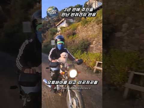 3년 만에 주인을 만난 반려견의 반응
