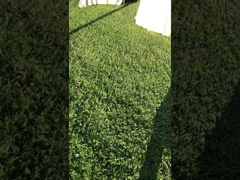 Florence Location Group