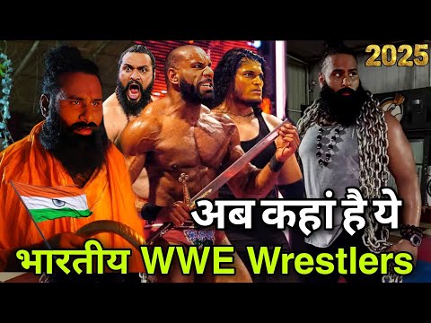 Where is Veer Mahaan and when will he return to WWE?