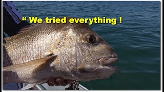 "We Tried Everything! mixed-bag fishing mission with a surprise twist: