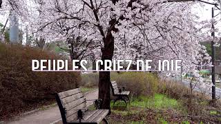 Peuples, Criez de Joie/ Praise to the Lord! the Almighty(French Version)| Reverence Beyond Crafts