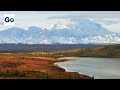 Denali National Park Knowledge Assessment